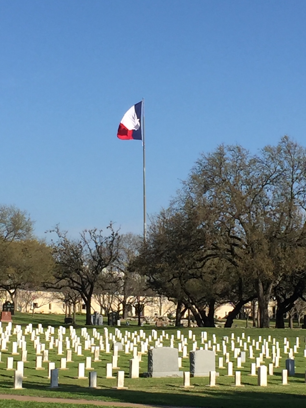 Texas State Cemetery - flag